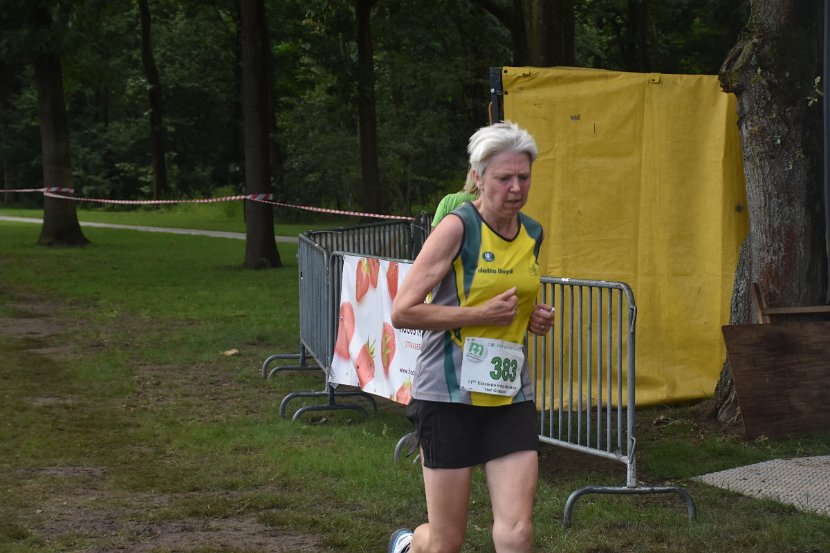 estafette deel 2 - 2017 - 276